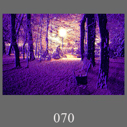 070_029_29_Fev1984_251229.html