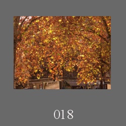 018_091128_02.html