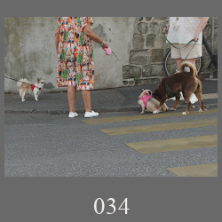 034_260731_01b_Edt4.html