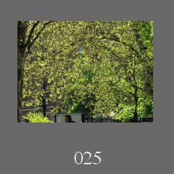 025_110410_13.html